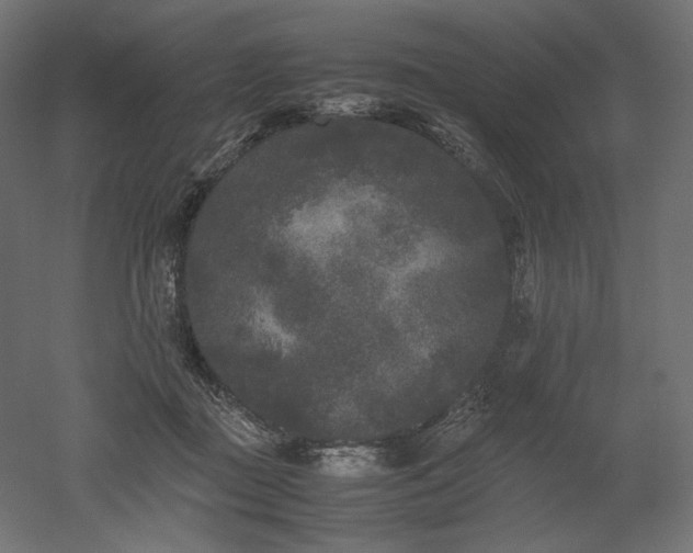 X0000052630363200507011326
