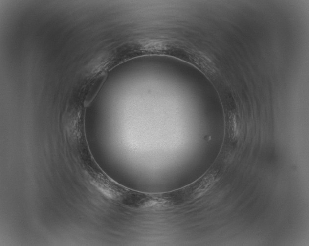 X0000052630364200507011326