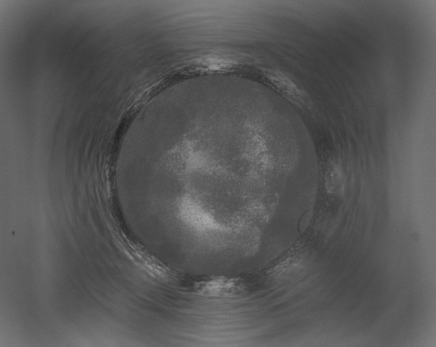 X0000052630366200507011326