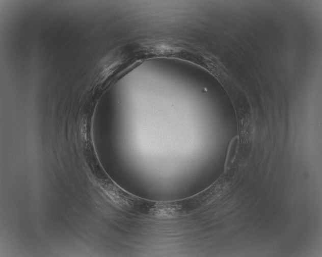 X0000052630368200507011326