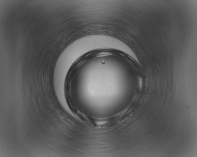 X0000052630372200507011326