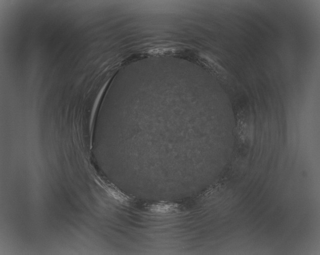 X0000052630375200507011326