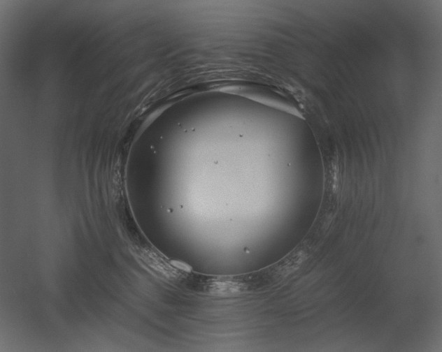 X0000052630376200507011326