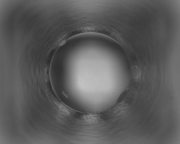 X0000052630378200507011326