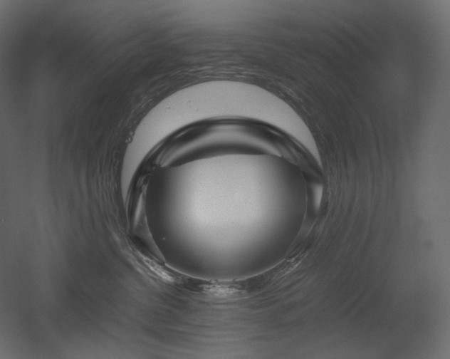 X0000052630380200507011326