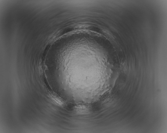 X0000052630381200507011326