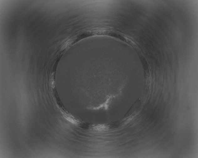 X0000052630383200507011326