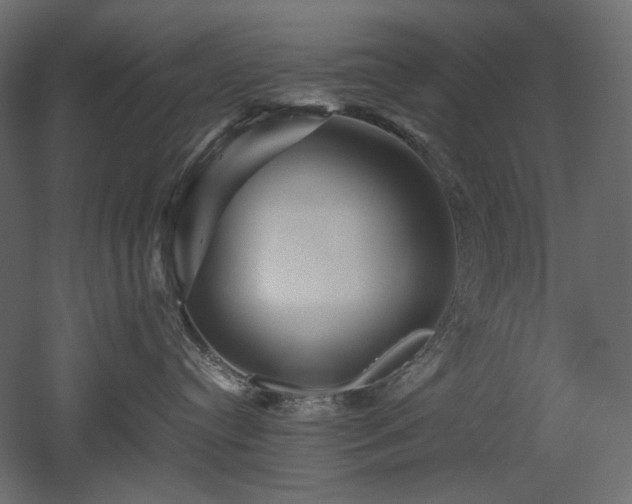 X0000052630384200507011326