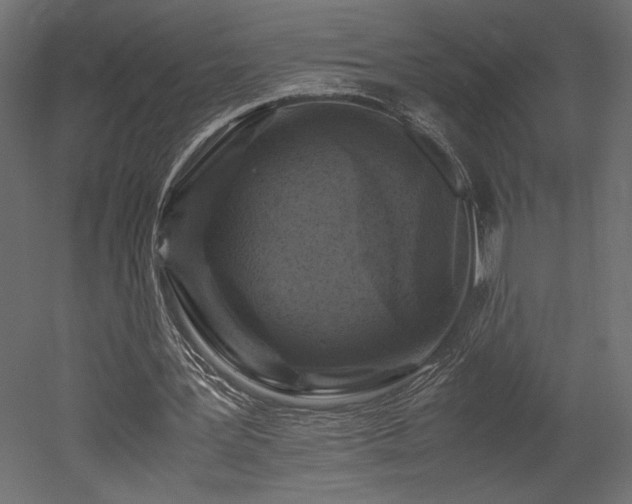 X0000052630387200507011326
