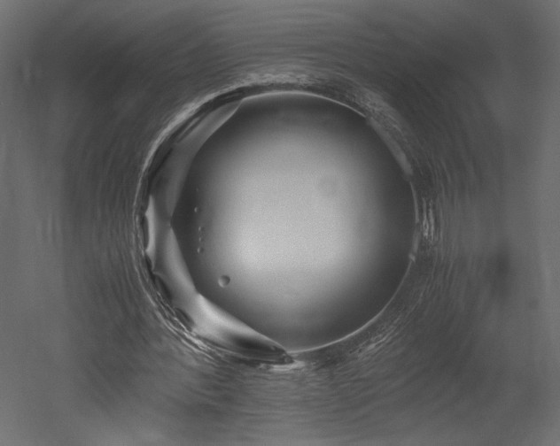 X0000052630388200507011326
