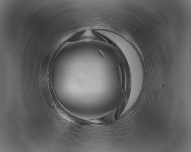X0000052630389200507011325