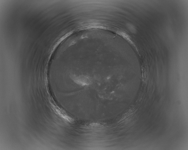 X0000052630390200507011325