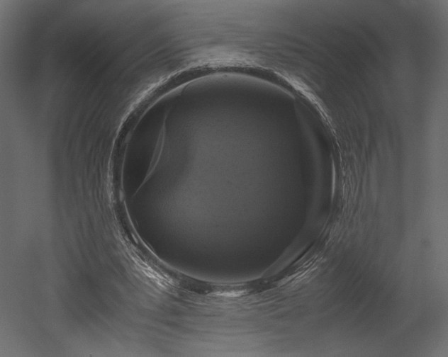X0000052630391200507011325