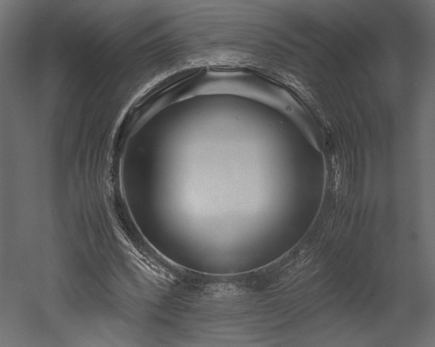 X0000052630392200507011325