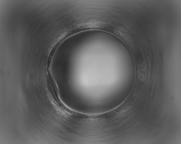 X0000052630394200507011325