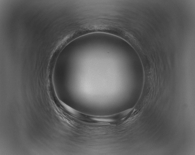 X0000052630395200507011325