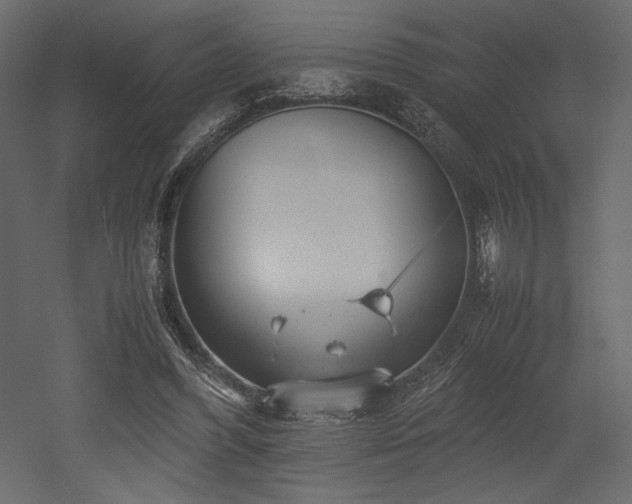 X0000052630396200507011325