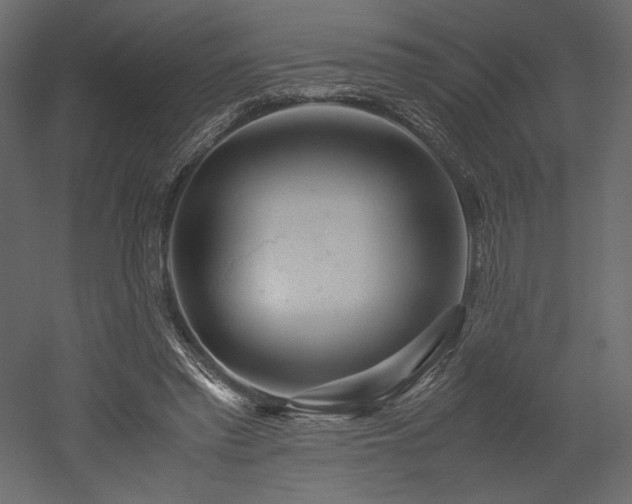 X0000052630397200507011325