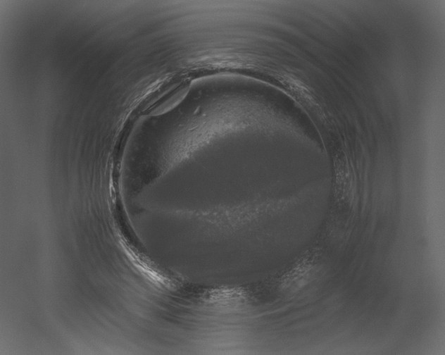 X0000052630398200507011325
