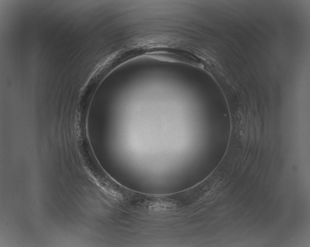 X0000052630400200507011325