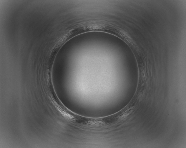 X0000052630401200507011325