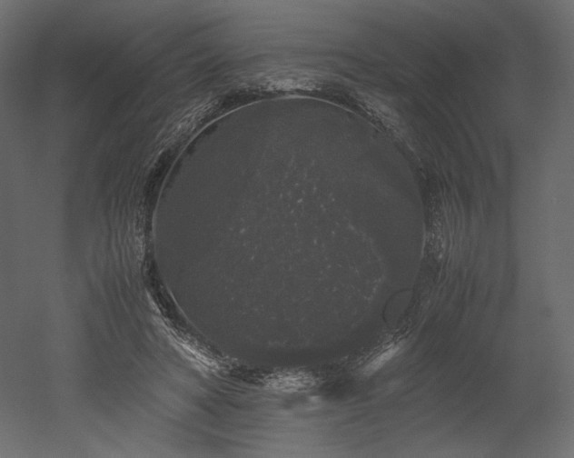 X0000052630402200507011325