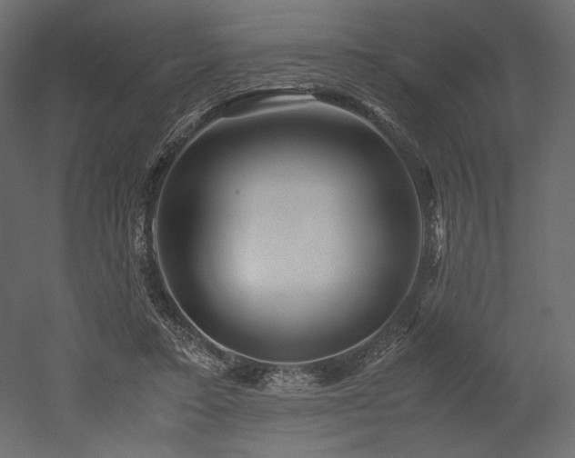 X0000052630403200507011325