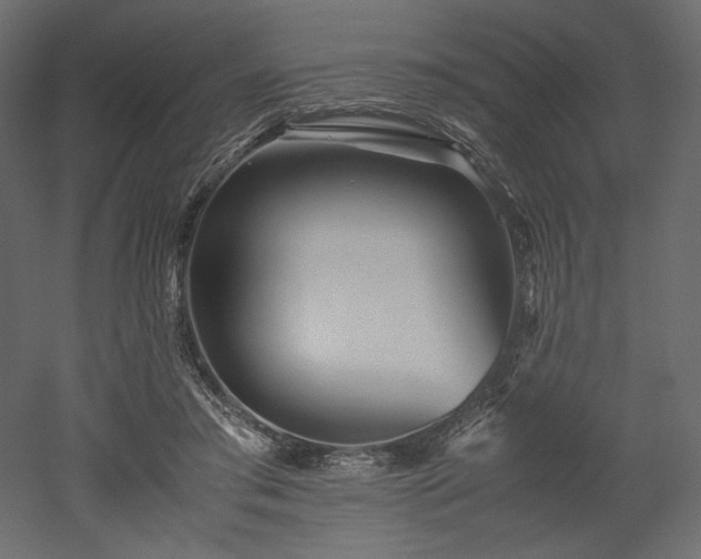 X0000052630405200507011325