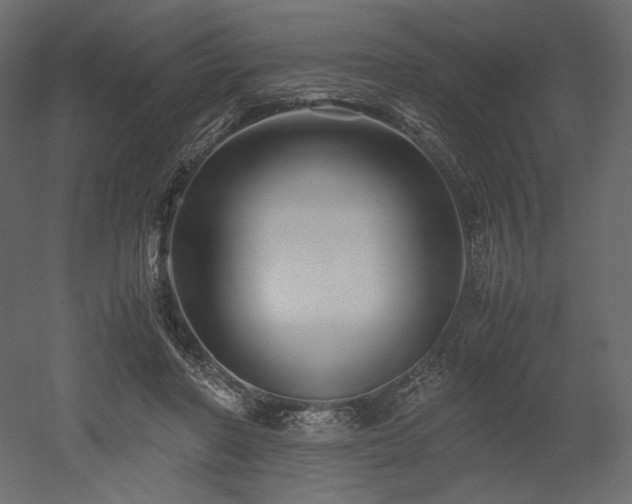 X0000052630406200507011325