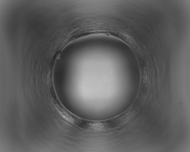X0000052630409200507011325