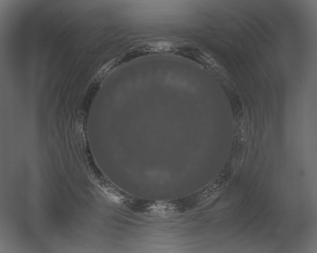 X0000052630415200507011325