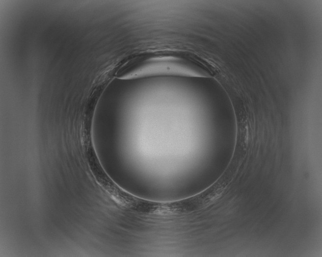 X0000052630416200507011325