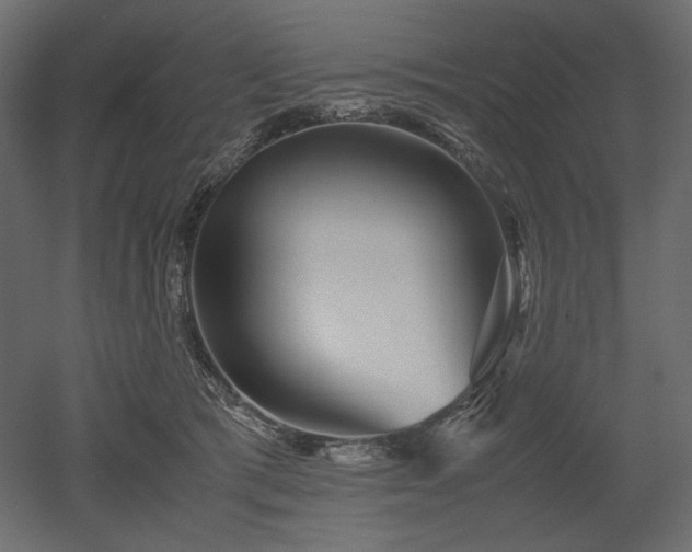 X0000052630417200507011325