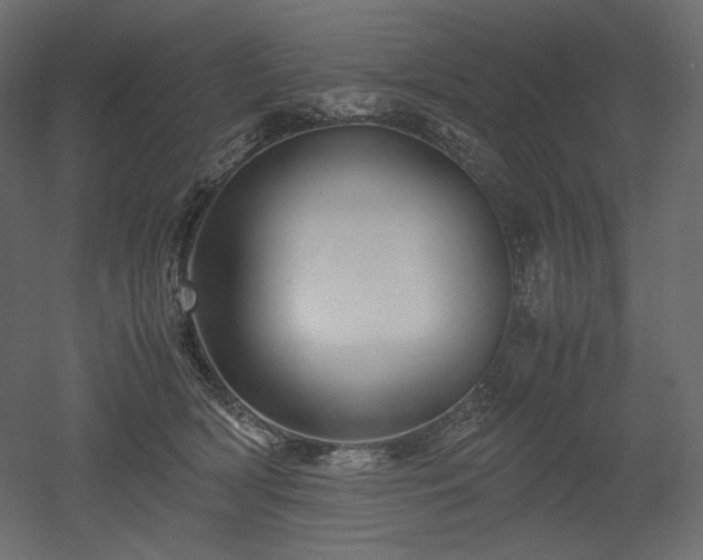 X0000052630418200507011325