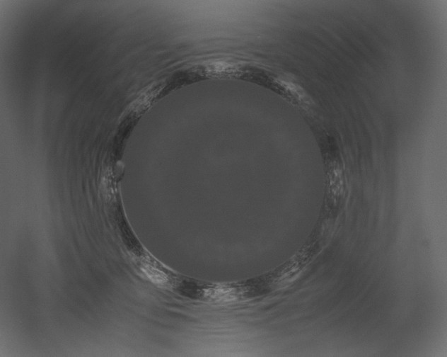 X0000052630419200507011325