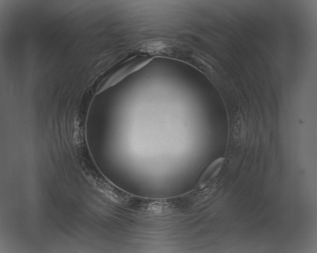 X0000052630420200507011325