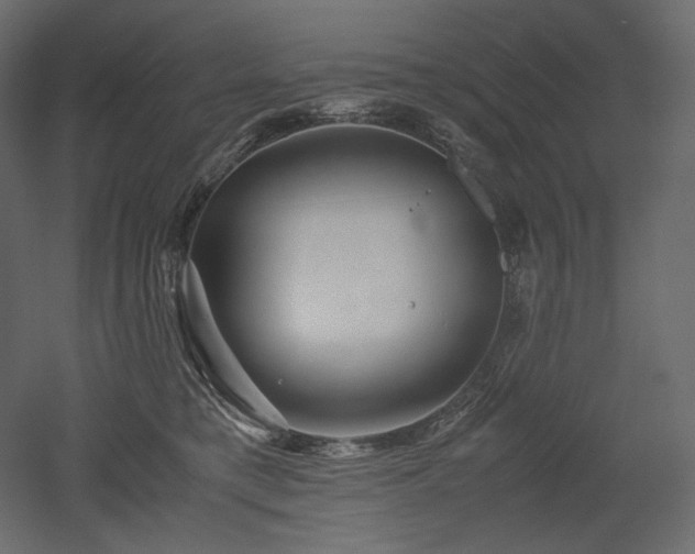 X0000052630421200507011325