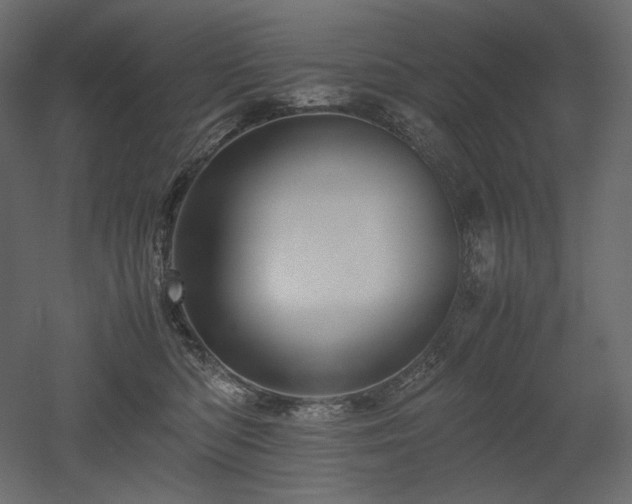 X0000052630422200507011325