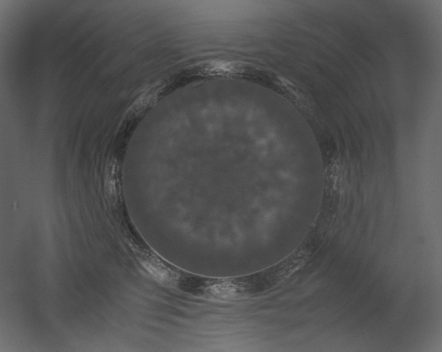 X0000052630423200507011325