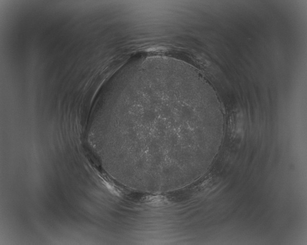 X0000052630424200507011325