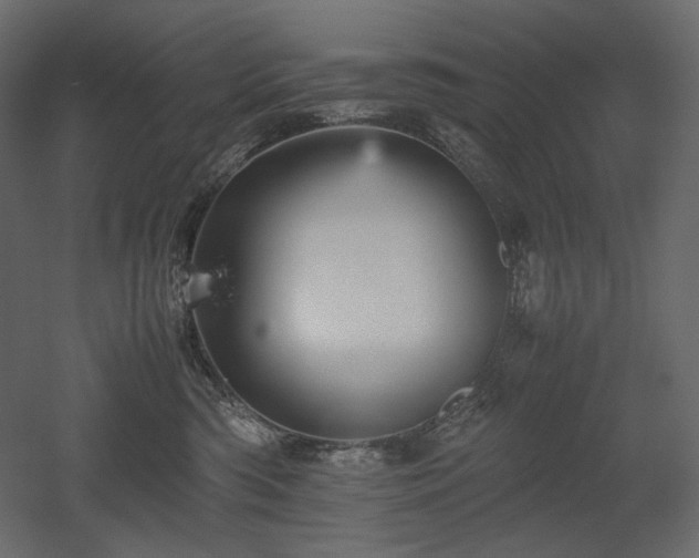X0000052630426200507011325