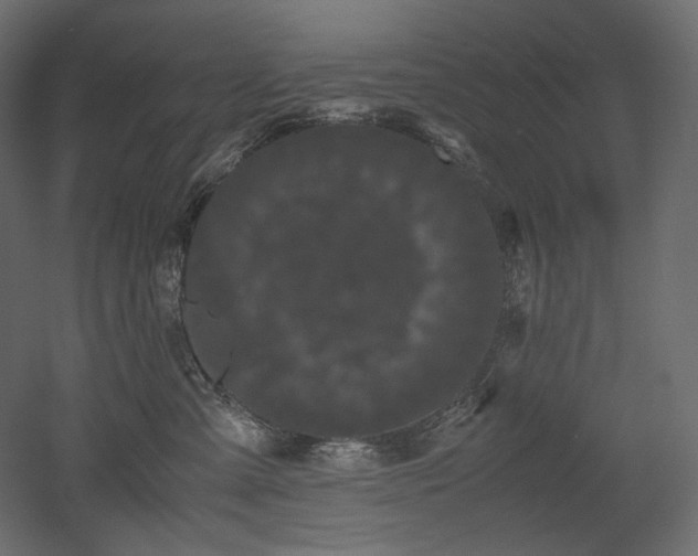 X0000052630427200507011325