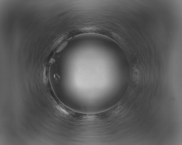 X0000052630428200507011325