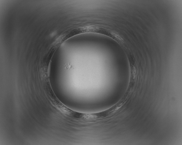 X0000052630429200507011325