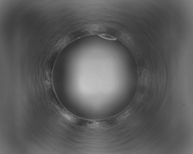 X0000052630430200507011325