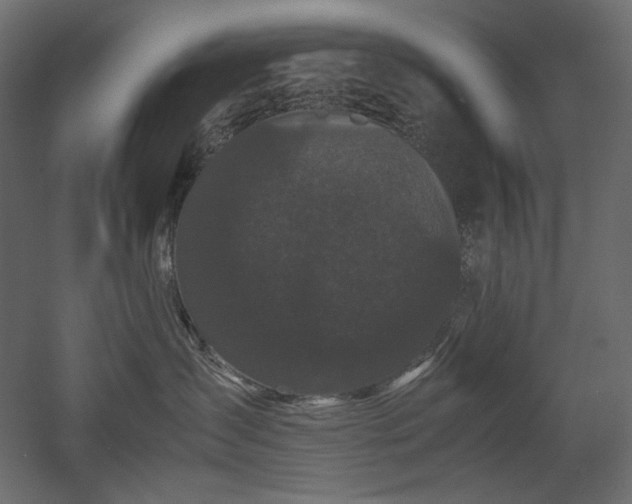X0000052630431200507011325