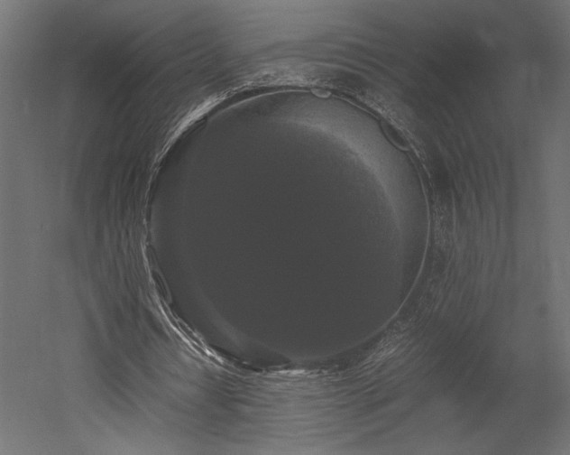 X0000052630434200507011324
