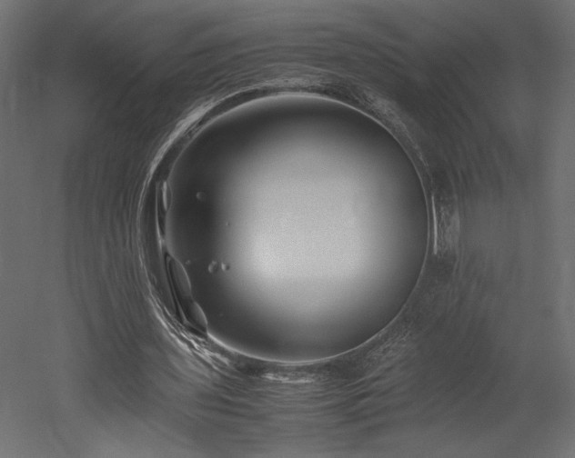 X0000052630435200507011324