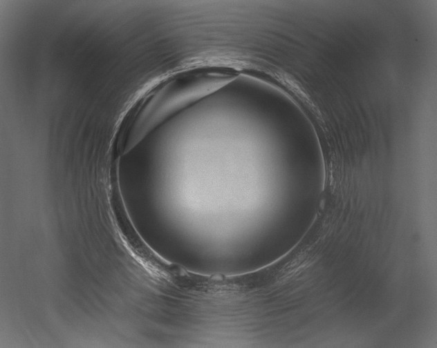 X0000052630438200507011324