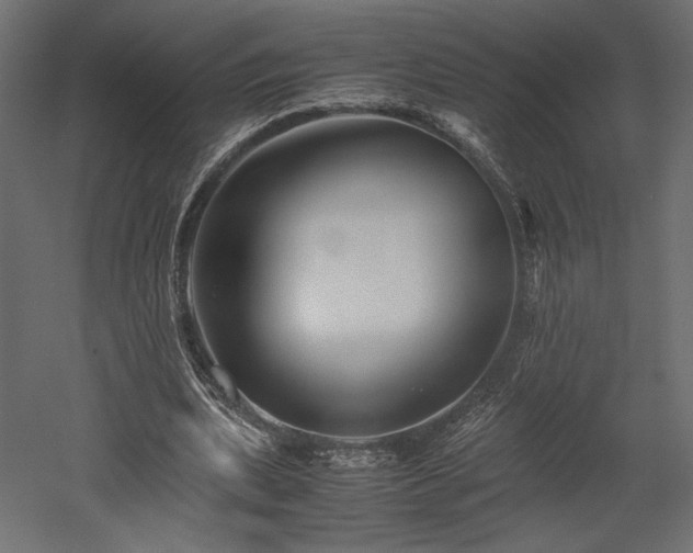 X0000052630439200507011324